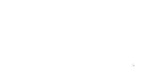 David Adeniran | Web Developer & IT Specialist